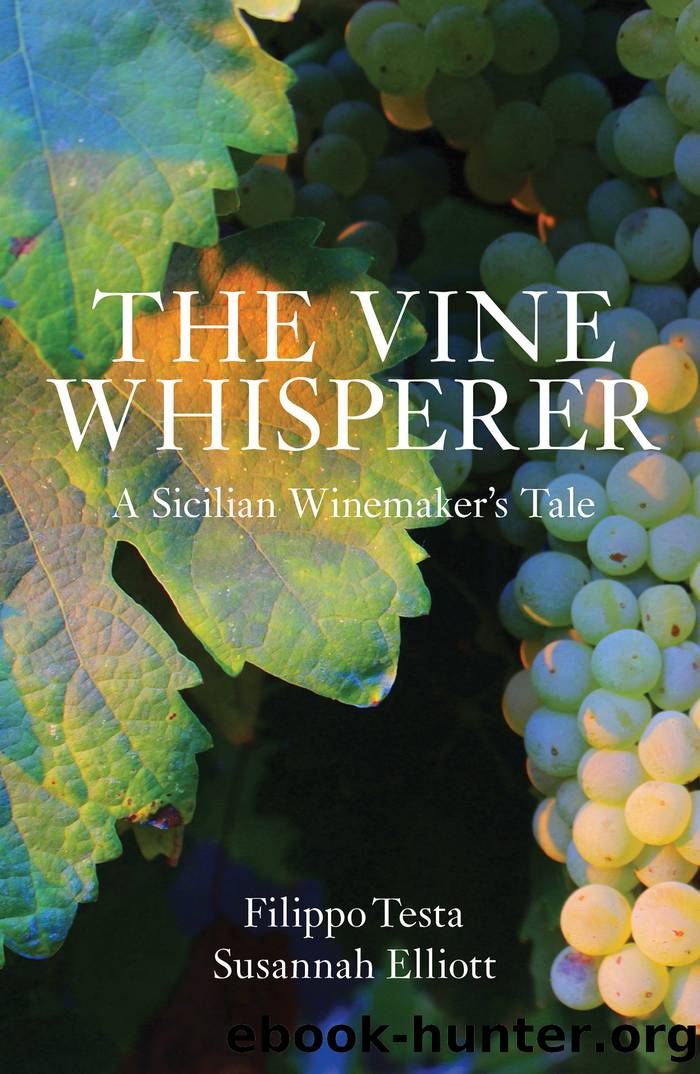 The Vine Whisperer: a Sicilian Tale of Wine and Mystery by Filippo Testa