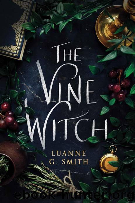 the vine witch series the vine witch series