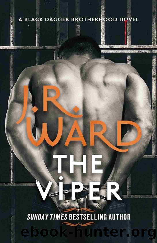 The Viper by Ward J. R