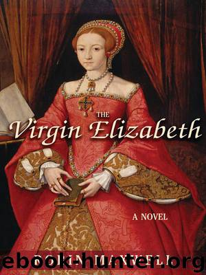 The Virgin Elizabeth by Robin Maxwell