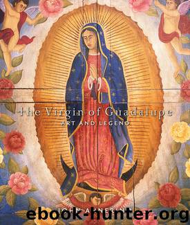 The Virgin of Guadalupe by John Annerino