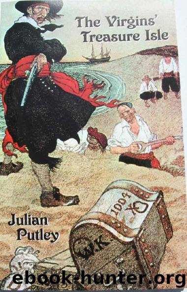 The Virgins' Treasure Isle by Julian Putley