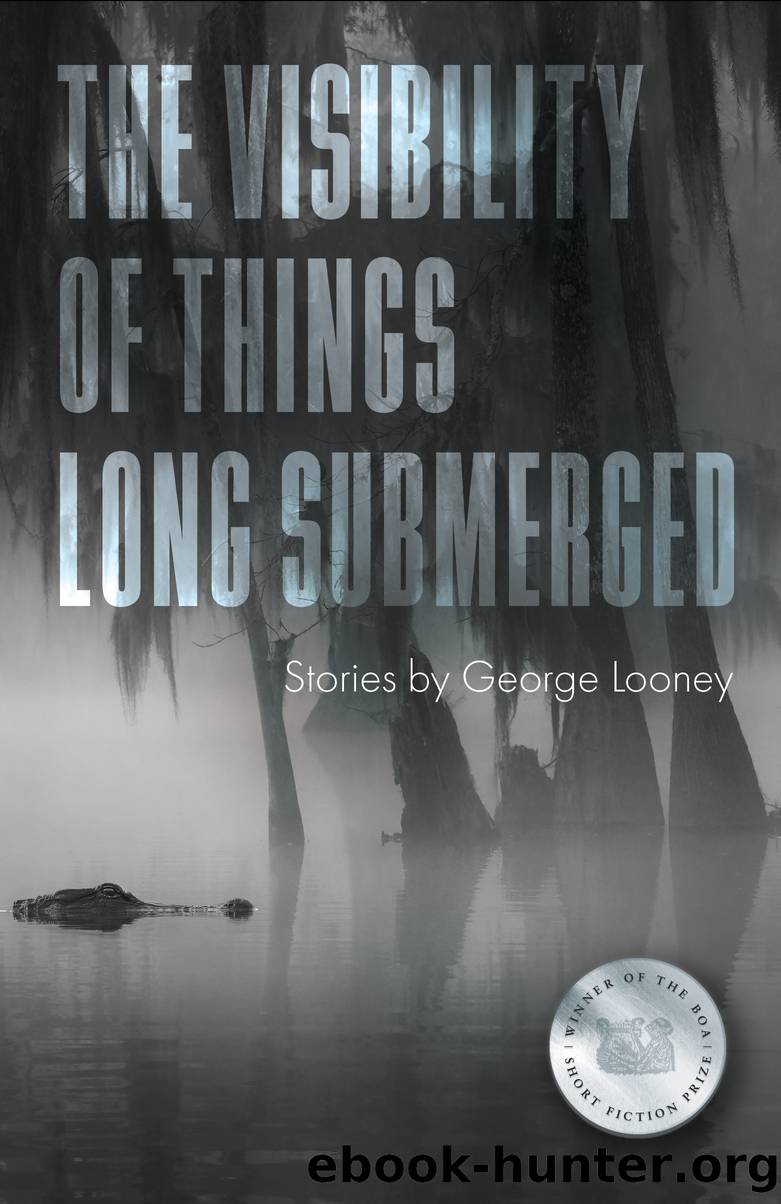 The Visibility of Things Long Submerged by George Looney