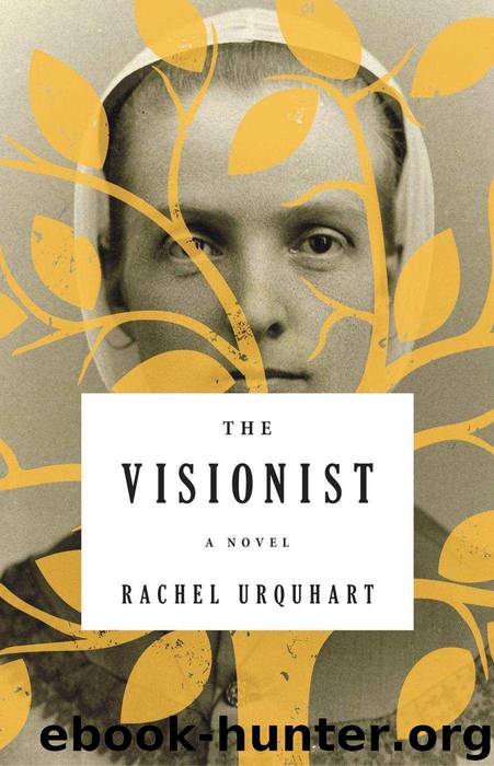 The Visionist A Novel (Rachel Urquhart) by Rachel Urquhart