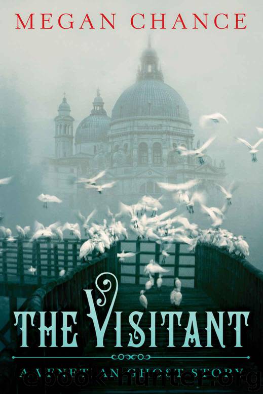 The Visitant by Chance Megan