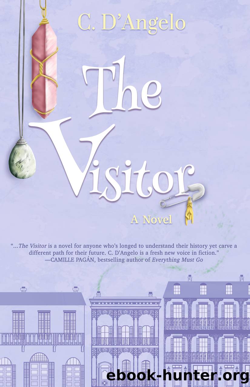 The Visitor by C. D'Angelo