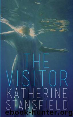 The Visitor by Katherine Stansfield