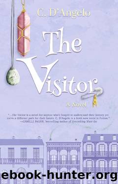 The Visitor: A women's fiction novel by C. D'Angelo