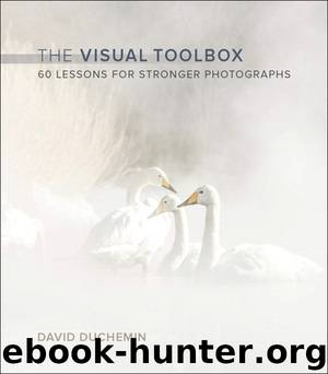 The Visual Toolbox: 60 Lessons for Stronger Photographs (Victoria Bampton's Library) by David duChemin