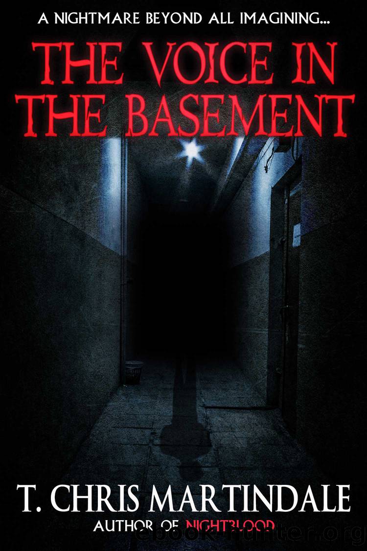 The Voice in the Basement by T. Chris Martindale