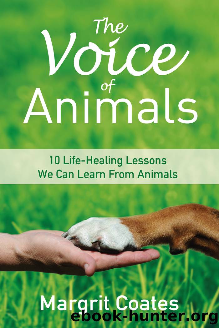 The Voice of Animals by Margrit Coates