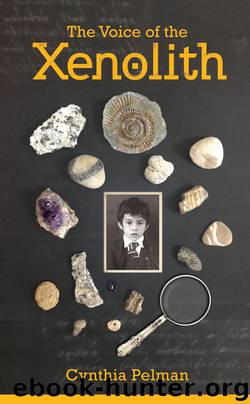 The Voice of the Xenolith by Cynthia Pelman