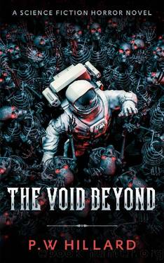 The Void Beyond by P W Hillard