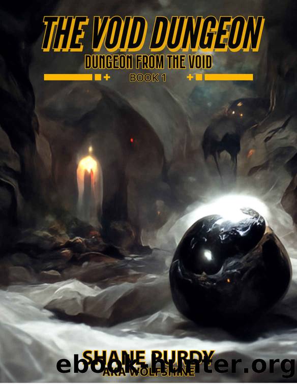The Void Dungeon: A Dungeon Core LitRPG Novel (Dungeon from the Void Book 1) by Shane Purdy