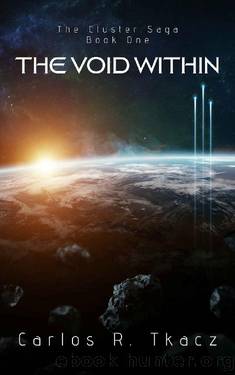 The Void Within by Carlos R Tkacz