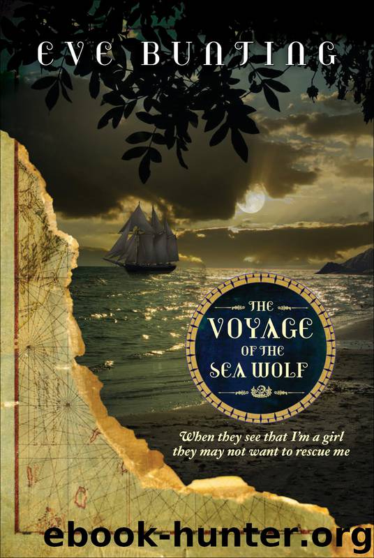 The Voyage of the Sea Wolf by Eve Bunting