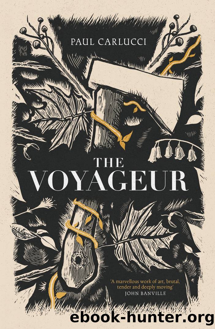 The Voyageur by Paul Carlucci