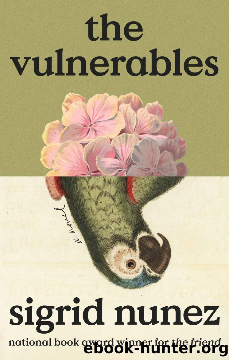 The Vulnerables by Sigrid Nunez