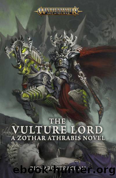 The Vulture Lord (Warhammer Age of Sigmar) by Richard Strachan