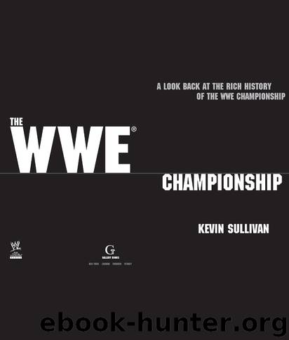 The WWE Championship by Kevin Sullivan