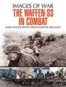 The Waffen-SS in Combat by Bob Carruthers
