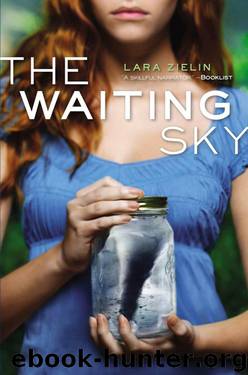 The Waiting Sky by Lara Zielin