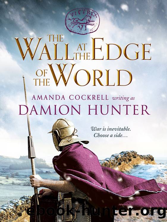 The Wall at the Edge of the World by Damion Hunter
