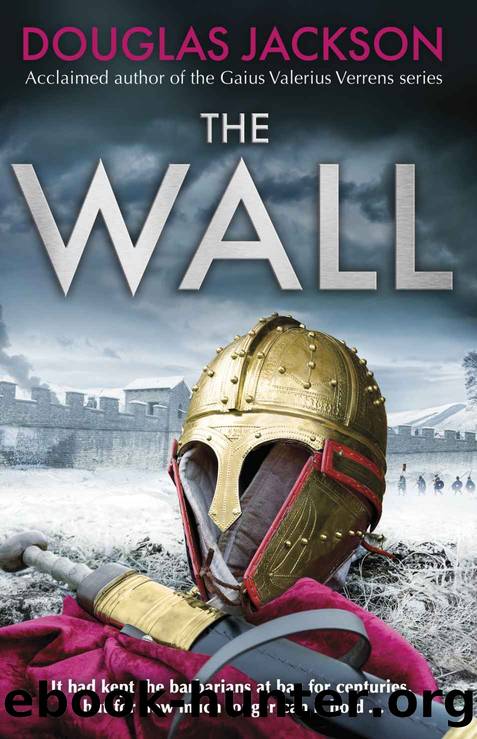The Wall by Jackson Douglas