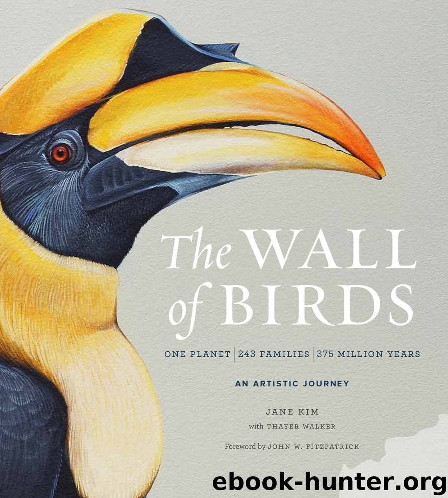 The Wall of Birds by Jane Kim