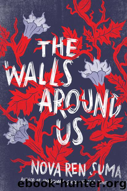The Walls Around Us (Nova Ren Suma) by Nova Ren Suma