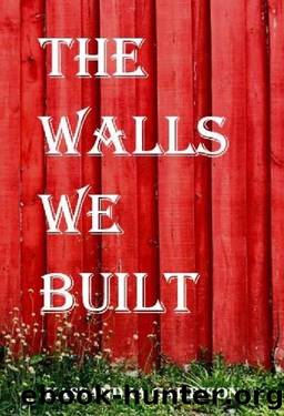 The Walls We Built by Kassandra Garrison