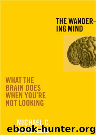 The Wandering Mind by Michael C Corballis
