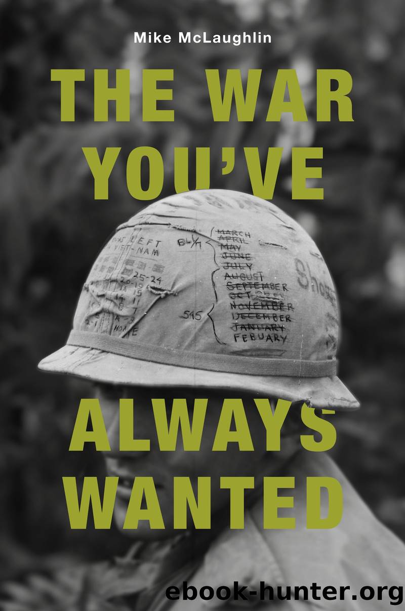 The War You've Always Wanted by Mike McLaughlin