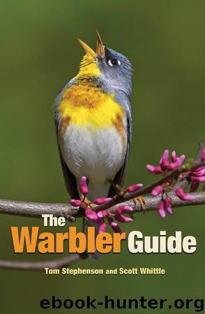 The Warbler Guide by Stephenson Tom & Whittle Scott