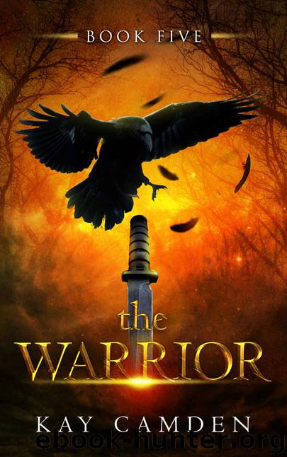 The Warrior by Kay Camden
