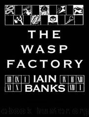 The Wasp Factory (1987) by Iain Banks