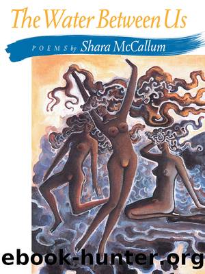 The Water Between Us by Shara McCallum