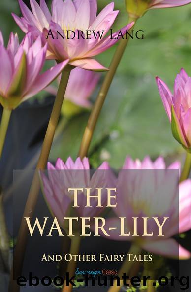 The Water-Lily and Other Fairy Tales by Andrew Lang
