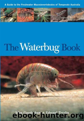 The Waterbug Book by John Gooderham && Edward Tsyrlin