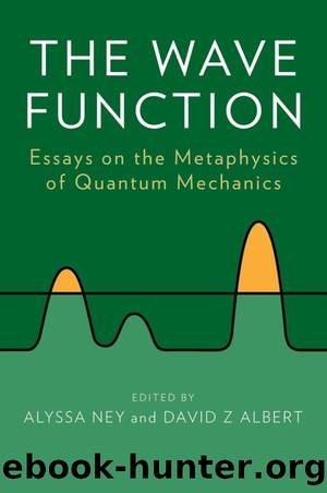 The Wave Function by Alyssa Ney & David z Albert