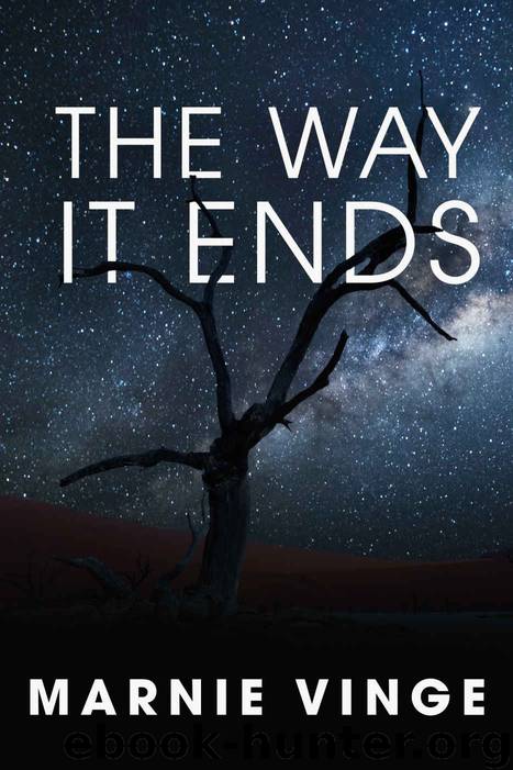 The Way It Ends by Marnie Vinge