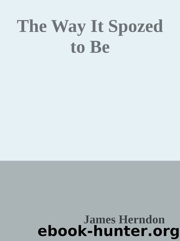 The Way It Spozed to Be by James Herndon