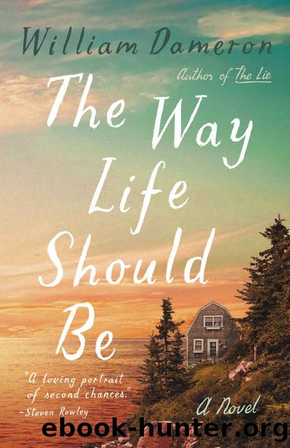 The Way Life Should Be by Dameron William