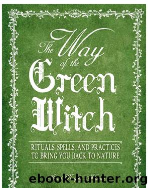 The Way Of The Green Witch by Arin Murphy-Hiscock