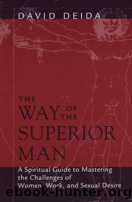 The Way Of The Superior Man: A Spiritual Guide to Mastering the Challenges of Women by David Deida