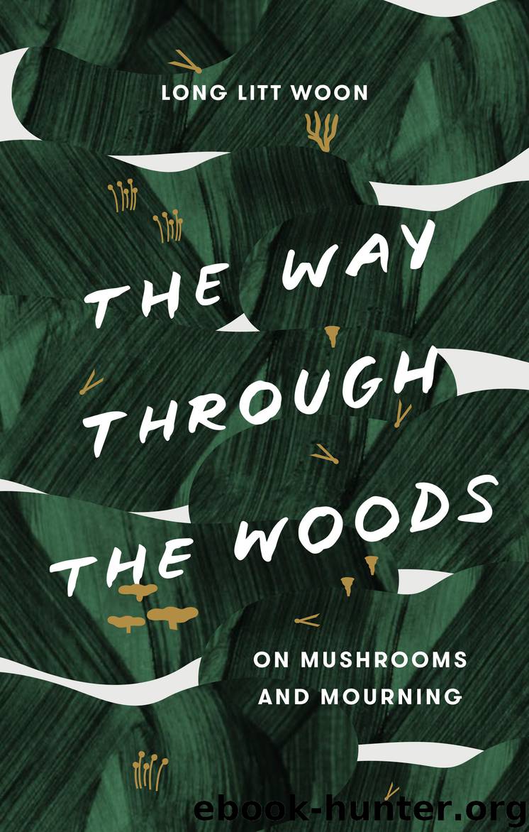 The Way Through the Woods by Litt Woon Long & Barbara J. Haveland