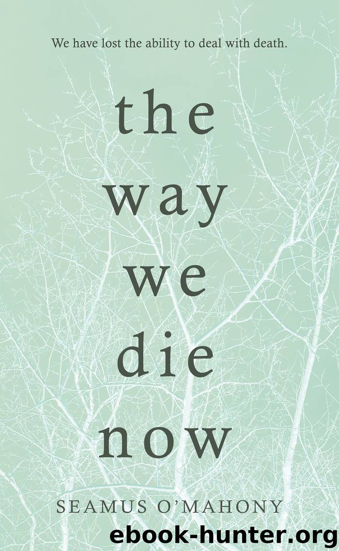 The Way We Die Now by Seamus O'Mahony