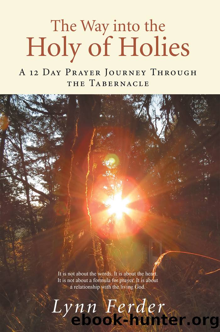 The Way into the Holy of Holies by lynn ferder