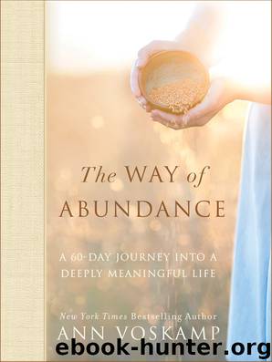 The Way of Abundance by Ann Voskamp