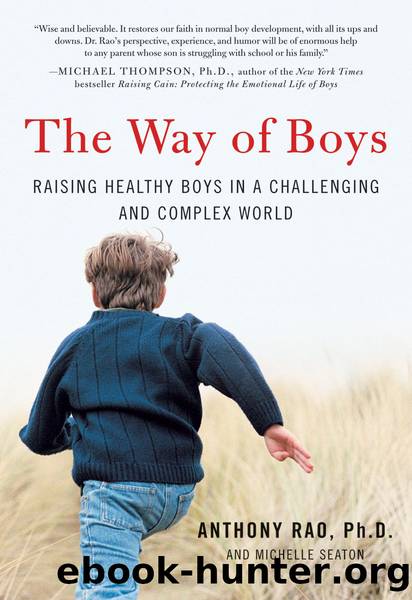 The Way of Boys by Anthony Rao PhD